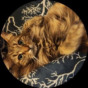 Meet your Posher, Sarah jane